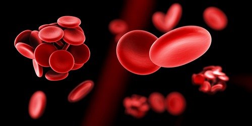 Disability for Blood Disorders